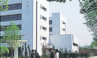 西北大学